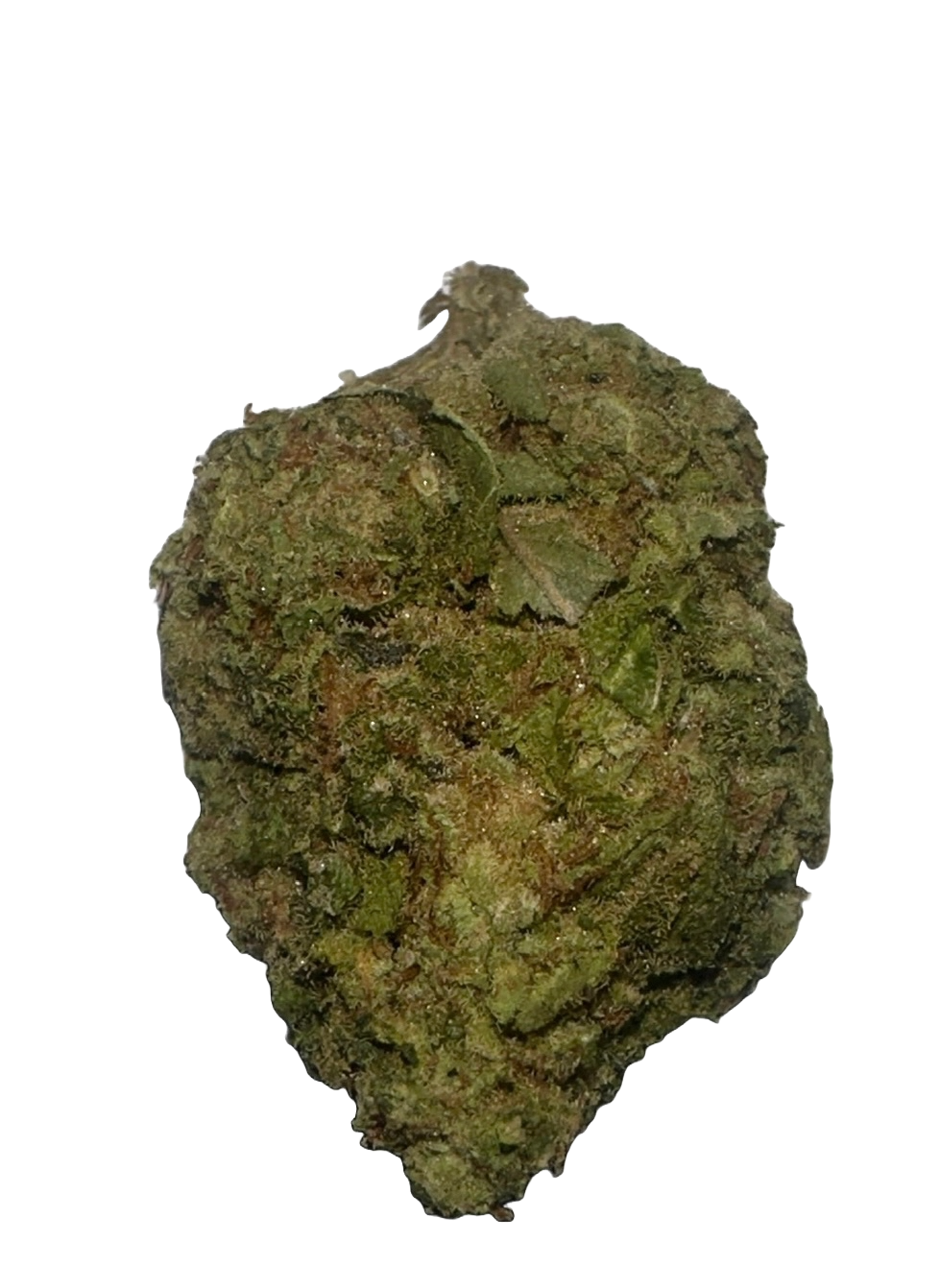 IMG_2006 Purple Candy Strain