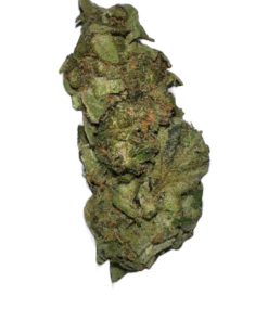 Amnesia Haze