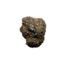 Alien Dawg