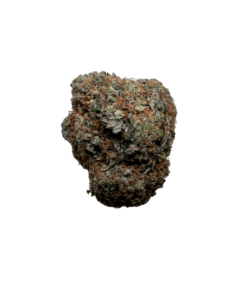 Alien Dawg 