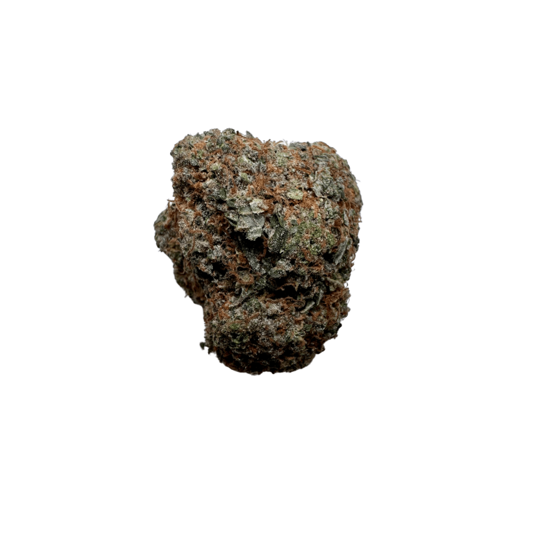 Alien-Dawg-768x768 Alien Dawg