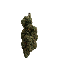 Britscotti – 3.5g