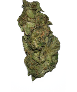 UK Amnesia Haze – 3.5g